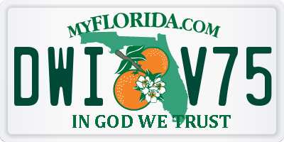 FL license plate DWIV75