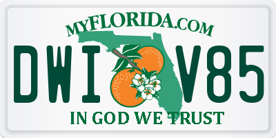 FL license plate DWIV85