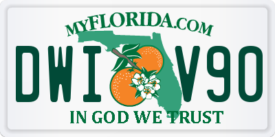 FL license plate DWIV90