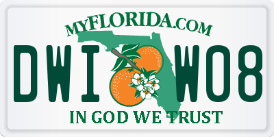 FL license plate DWIW08