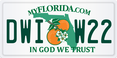 FL license plate DWIW22