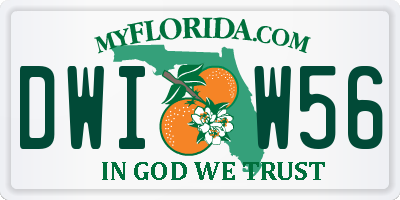 FL license plate DWIW56