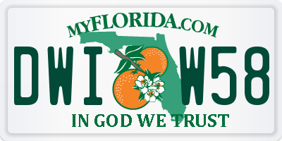 FL license plate DWIW58