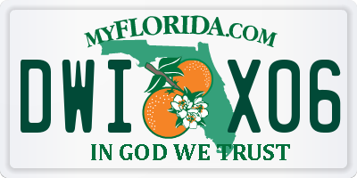 FL license plate DWIX06