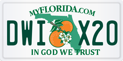 FL license plate DWIX20