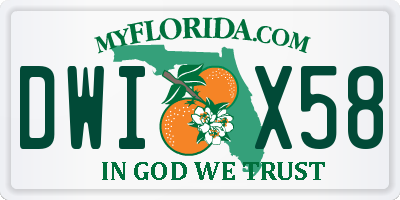 FL license plate DWIX58