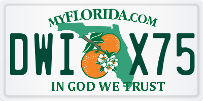 FL license plate DWIX75