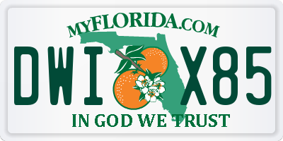FL license plate DWIX85