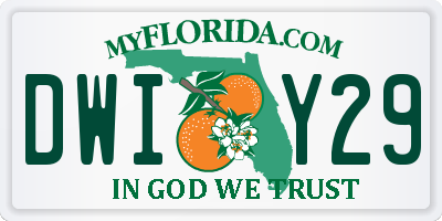 FL license plate DWIY29