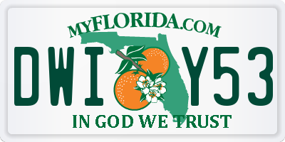 FL license plate DWIY53
