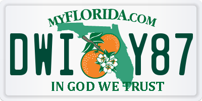 FL license plate DWIY87