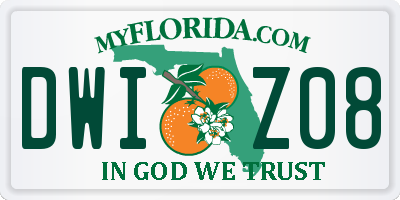FL license plate DWIZ08