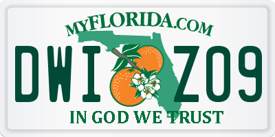 FL license plate DWIZ09