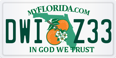 FL license plate DWIZ33
