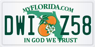 FL license plate DWIZ58