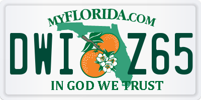 FL license plate DWIZ65