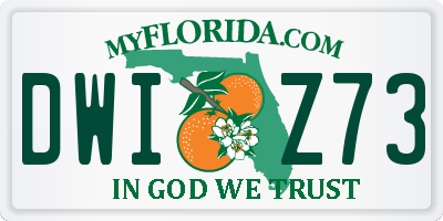 FL license plate DWIZ73