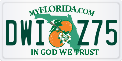 FL license plate DWIZ75