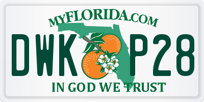 FL license plate DWKP28