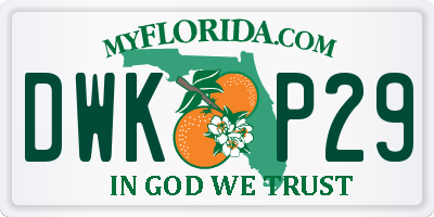 FL license plate DWKP29