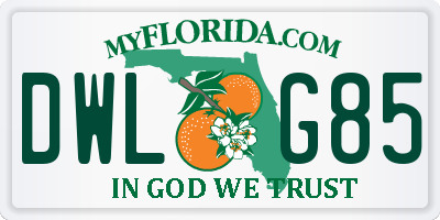 FL license plate DWLG85