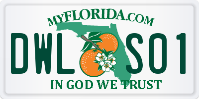 FL license plate DWLS01