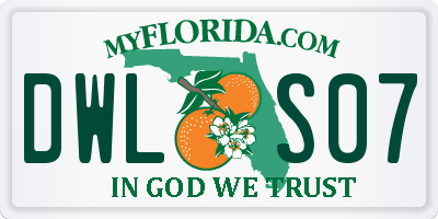 FL license plate DWLS07