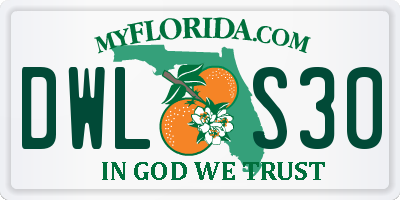 FL license plate DWLS30