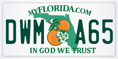 FL license plate DWMA65