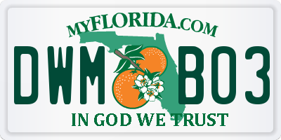 FL license plate DWMB03