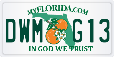 FL license plate DWMG13