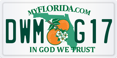 FL license plate DWMG17