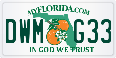 FL license plate DWMG33