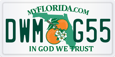 FL license plate DWMG55