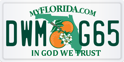 FL license plate DWMG65