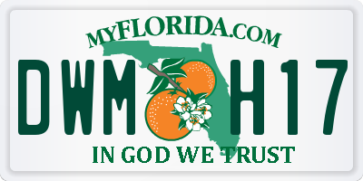 FL license plate DWMH17