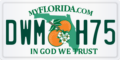 FL license plate DWMH75