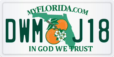 FL license plate DWMJ18