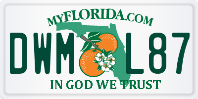 FL license plate DWML87
