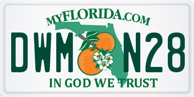 FL license plate DWMN28