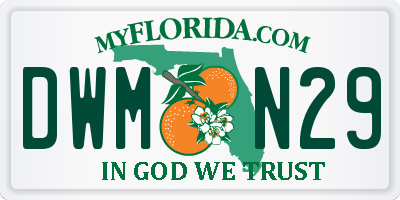 FL license plate DWMN29