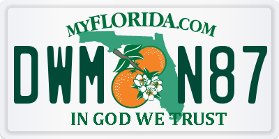 FL license plate DWMN87