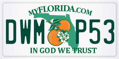 FL license plate DWMP53