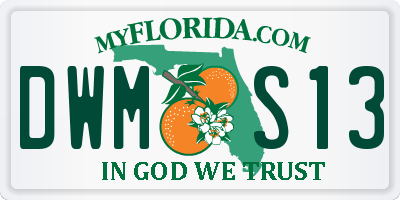 FL license plate DWMS13