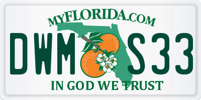 FL license plate DWMS33