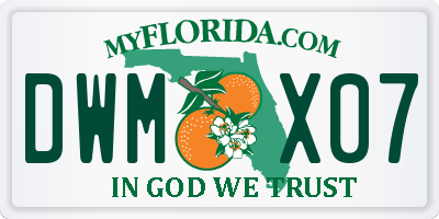 FL license plate DWMX07