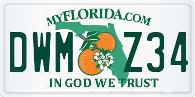 FL license plate DWMZ34