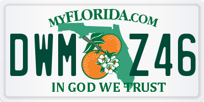 FL license plate DWMZ46