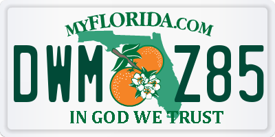 FL license plate DWMZ85