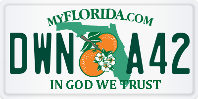 FL license plate DWNA42
